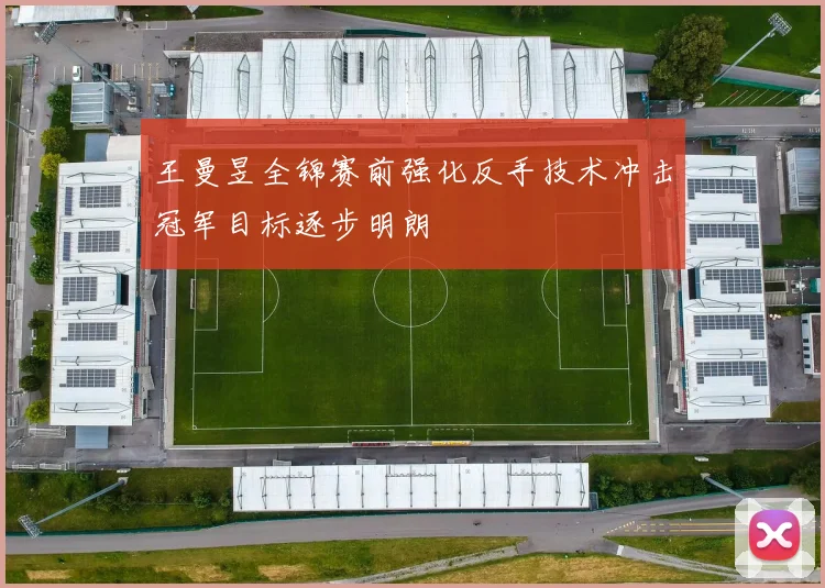 王曼昱全锦赛前强化反手技术冲击冠军目标逐步明朗
