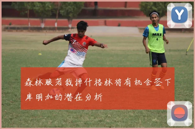 森林狼若裁掉什格林将有机会签下库明加的潜在分析